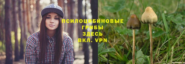 винт Бугульма